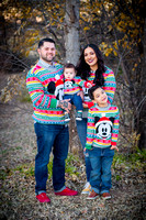Family-3