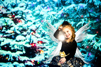DeLao_Fairy-2