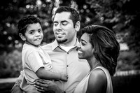 Medina2013-12