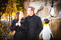 Jaime-Greg-Engagement (19)